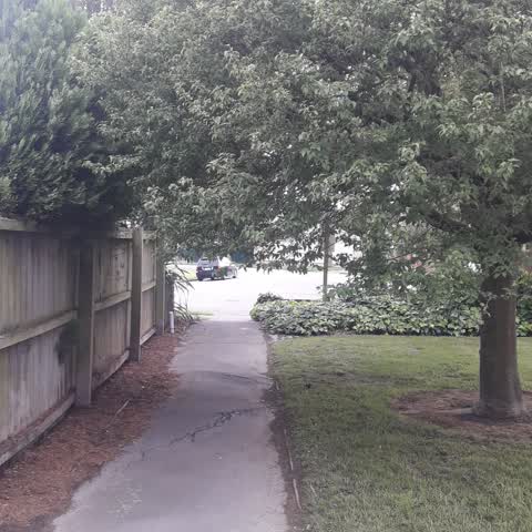 Parks, a report photo