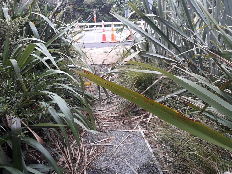 The photograph attached to this parks report