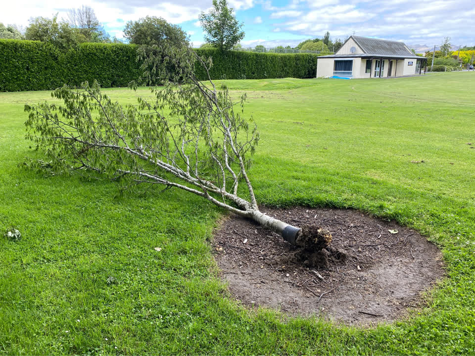 The photograph attached to this parks report