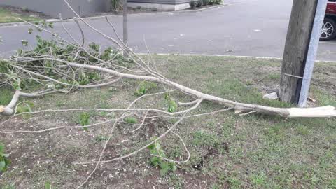 Parks, a report photo
