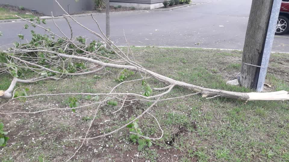 The photograph attached to this parks report