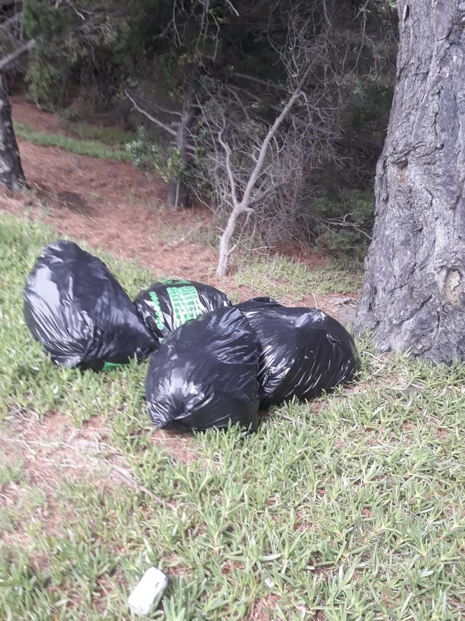 The photograph attached to this parks report