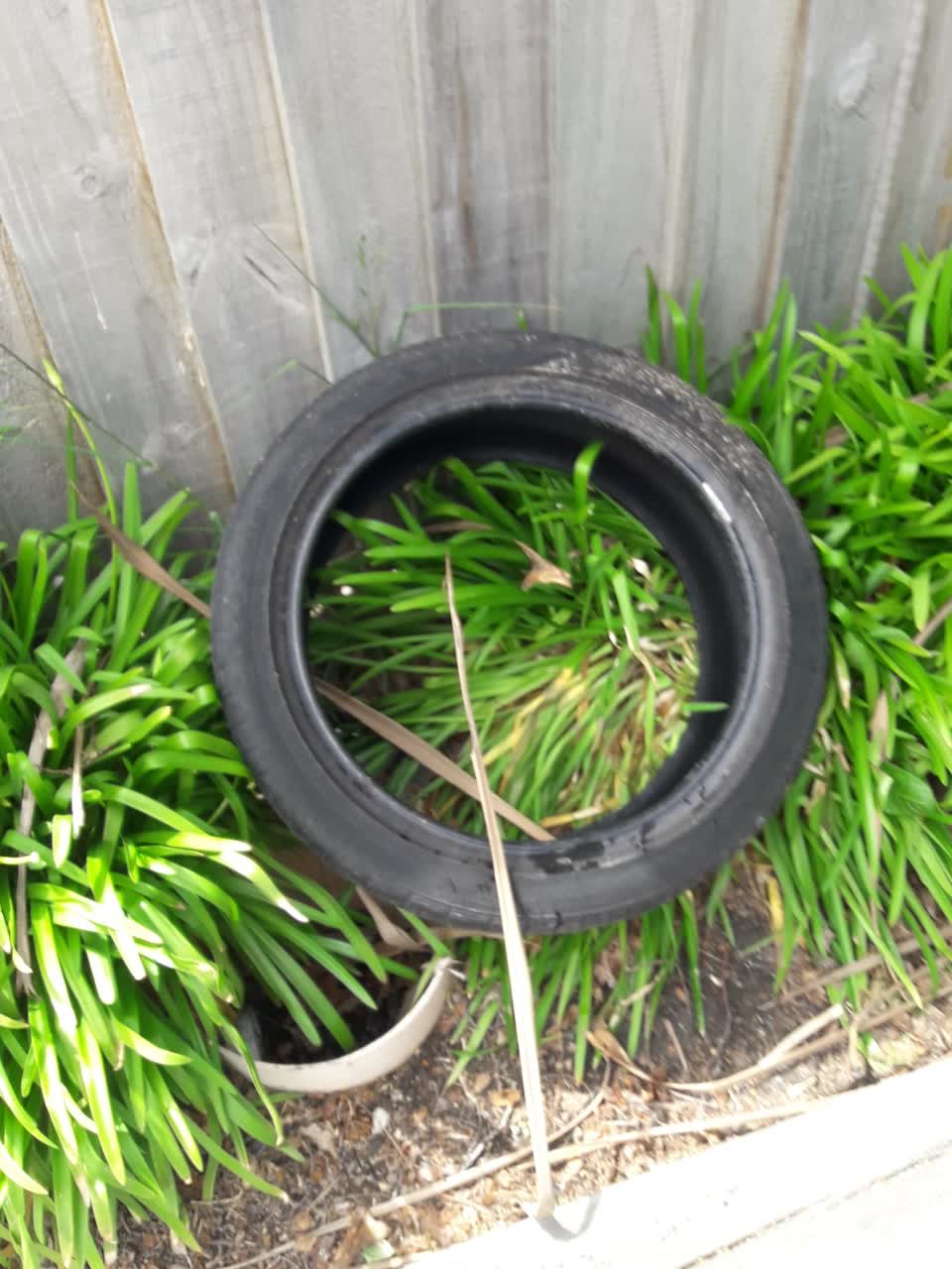 The photograph attached to this parks report