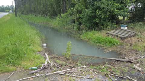 General Request, a report photo