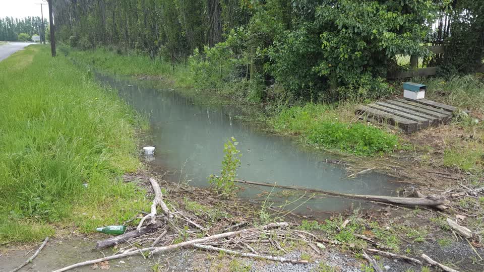 The photograph attached to this general request report