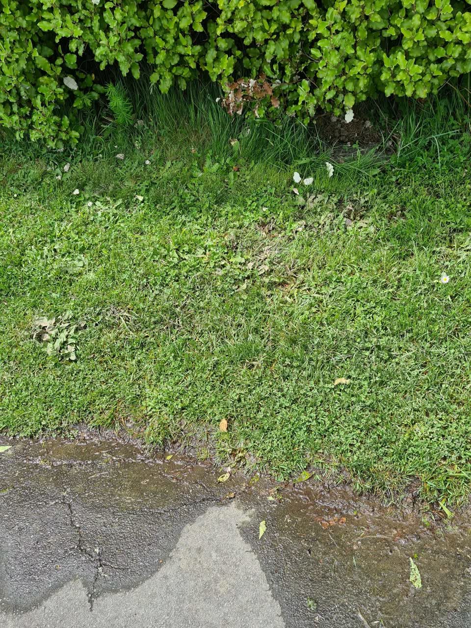 The photograph attached to this water leak report