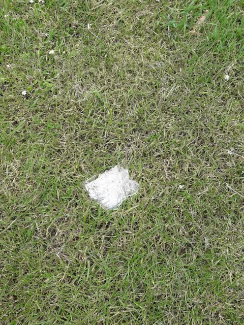 Parks, a report photo