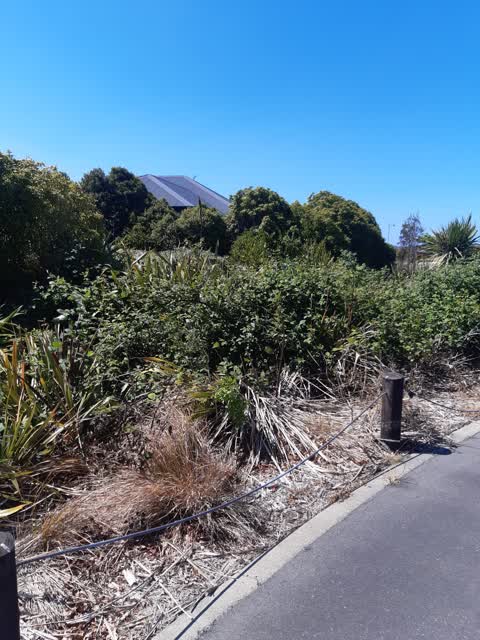 Rubbish/Recycling, a report photo