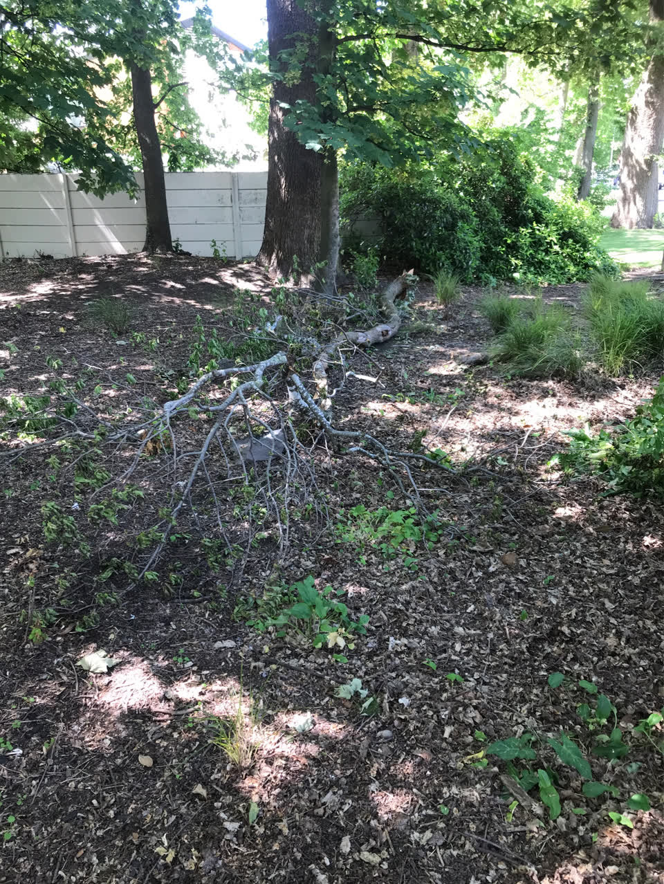 The photograph attached to this parks report