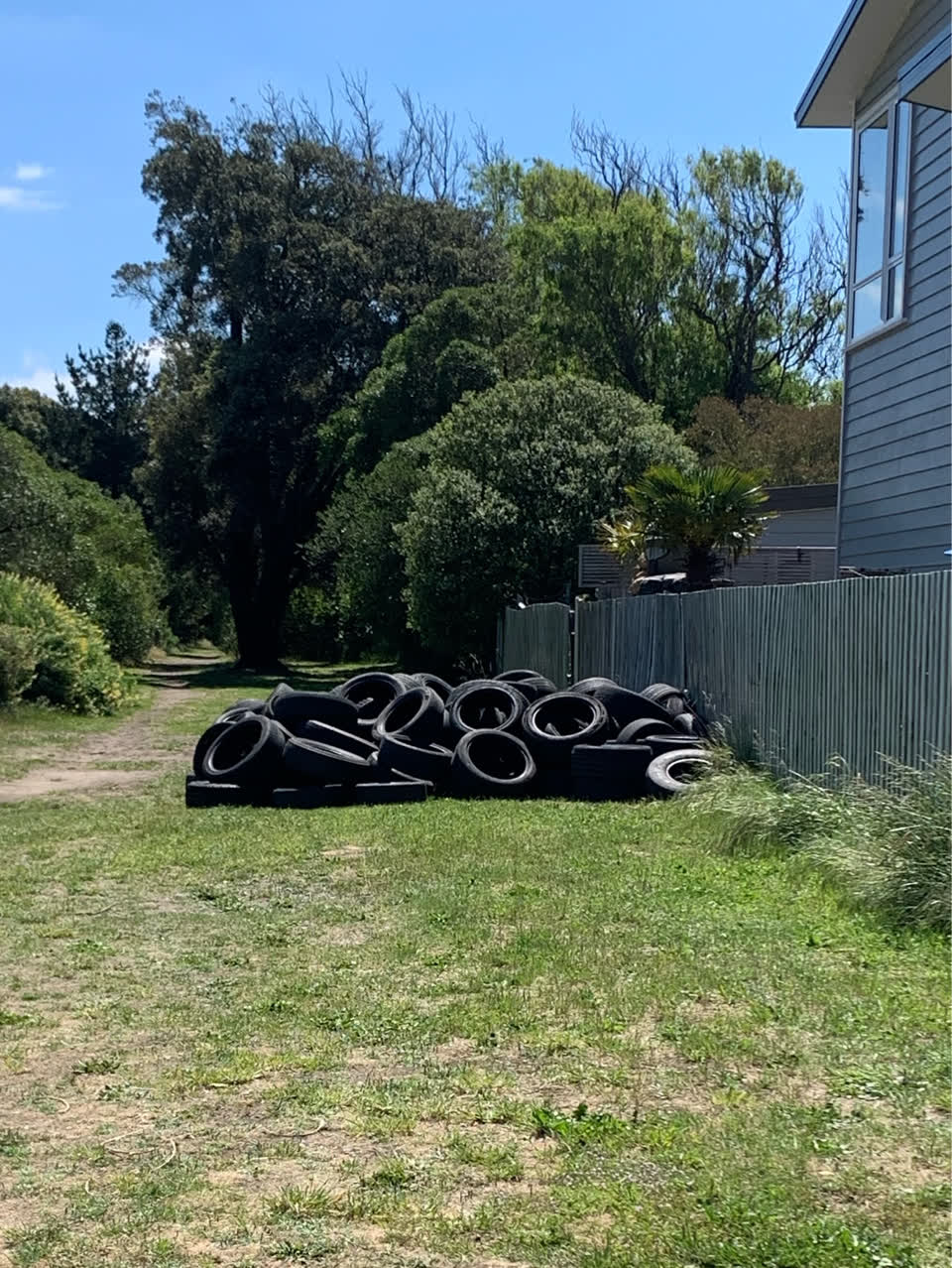 The photograph attached to this parks report
