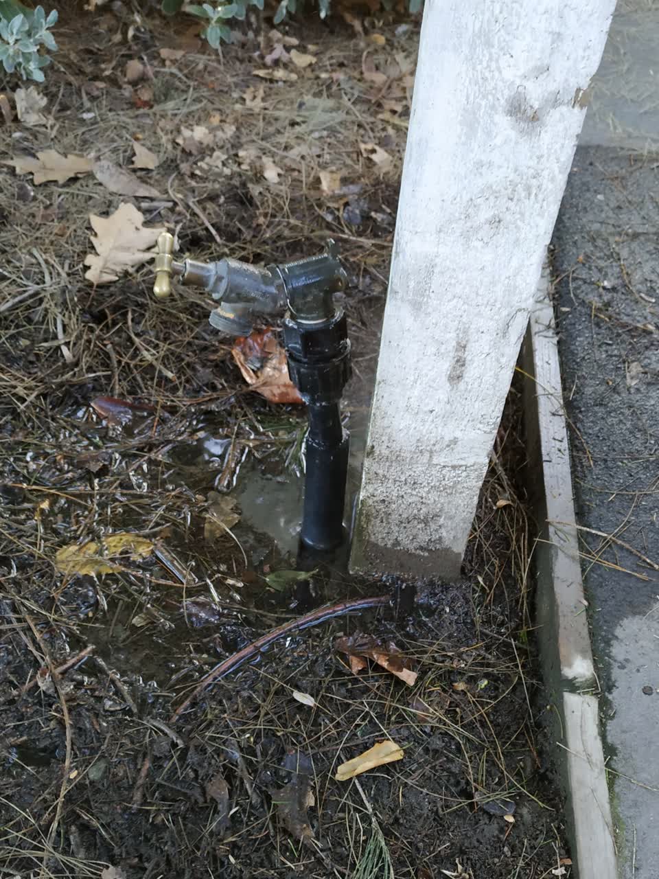 The photograph attached to this water leak report