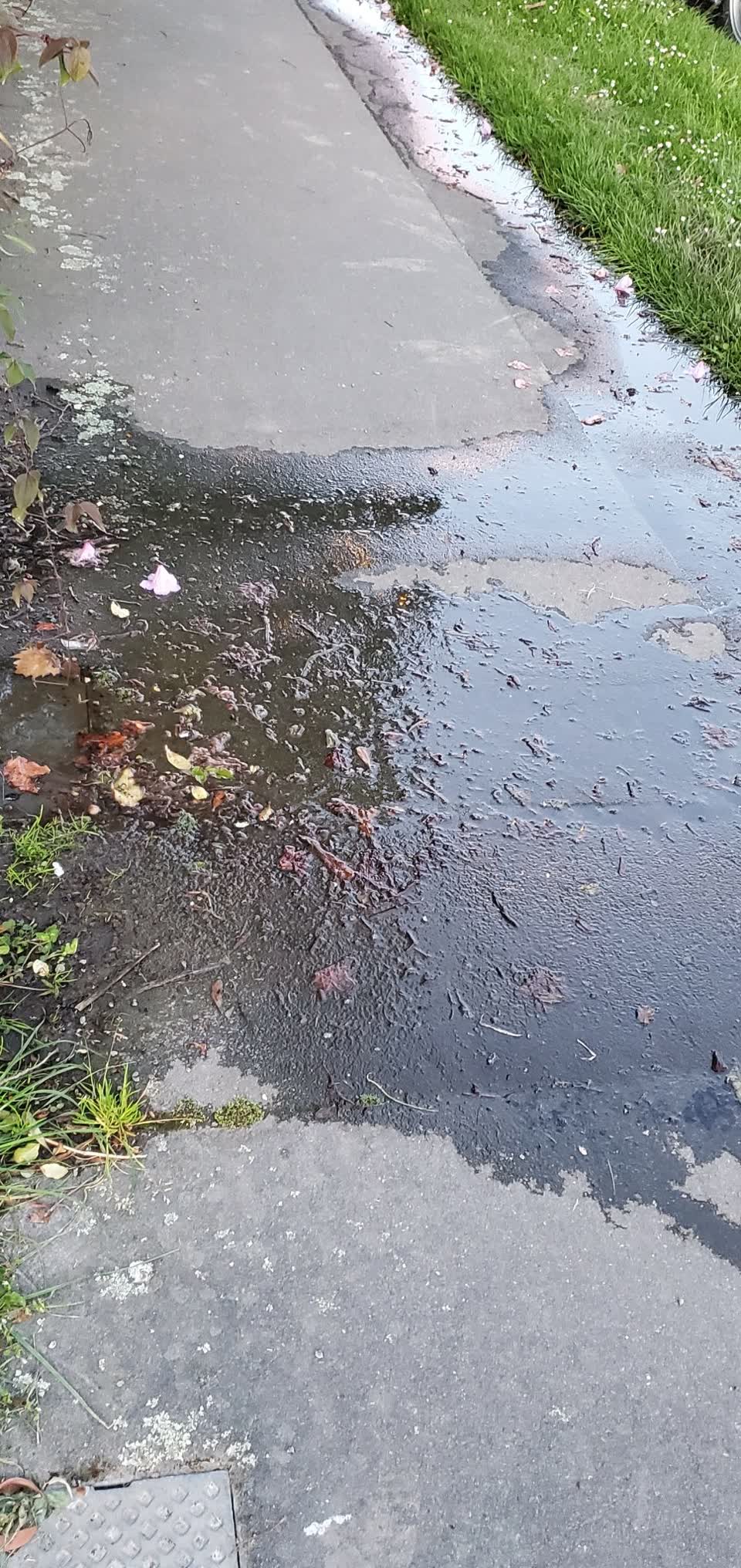 The photograph attached to this water leak report