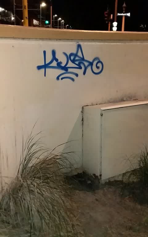 Graffiti, a report photo