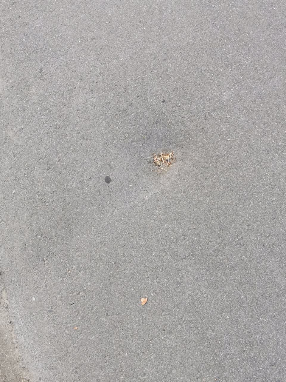 The photograph attached to this roading/streets report
