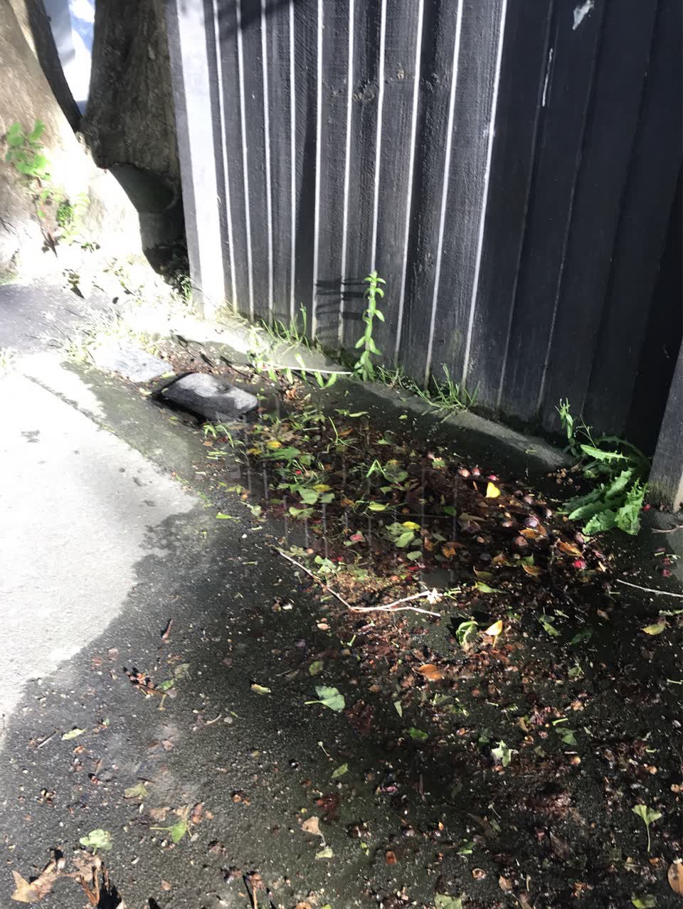 The photograph attached to this water supply report