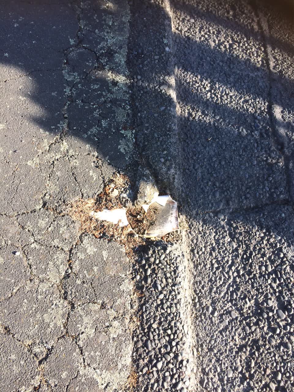 The photograph attached to this roading/streets report