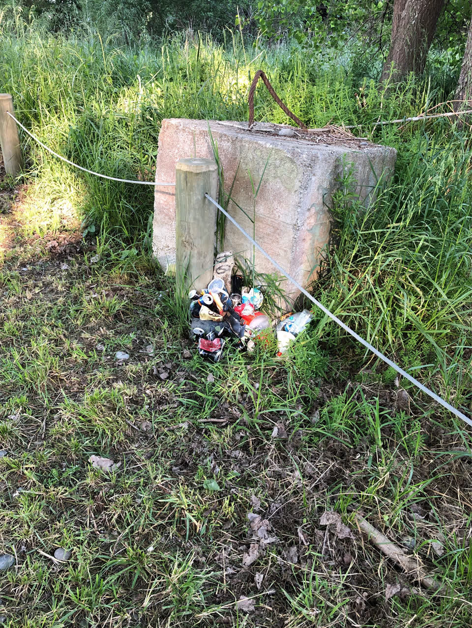 The photograph attached to this parks report