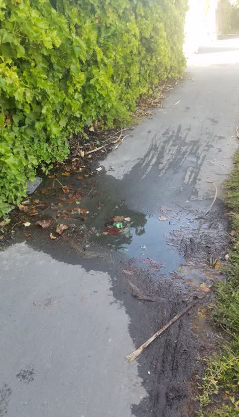 Water Leak, a report photo