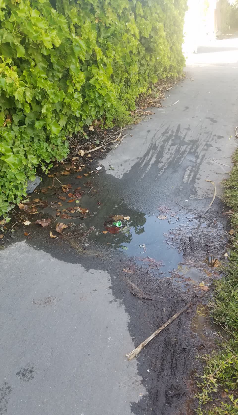 The photograph attached to this water leak report