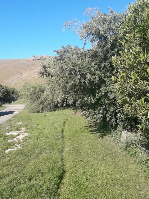 Parks, a report photo