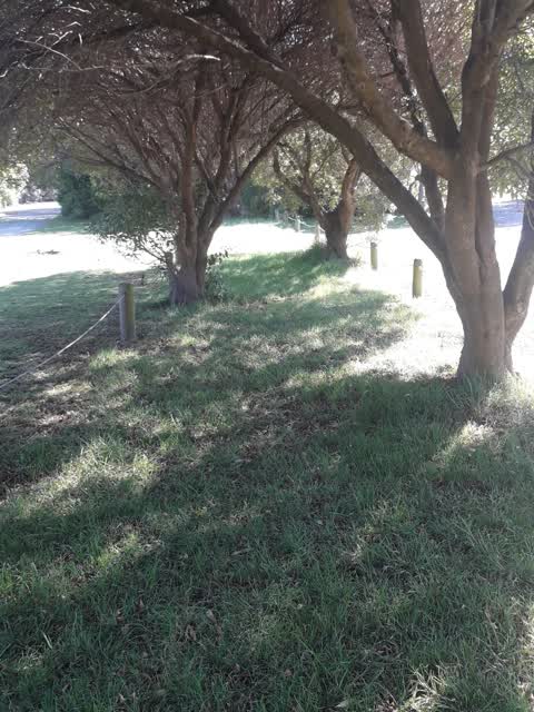 Parks, a report photo