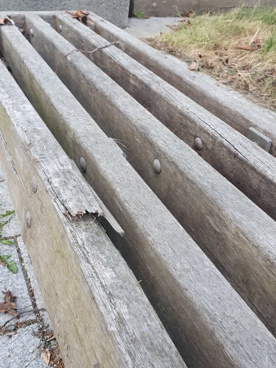 The photograph attached to this parks report