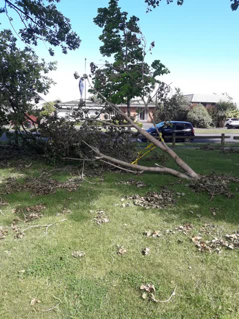 Parks, a report photo
