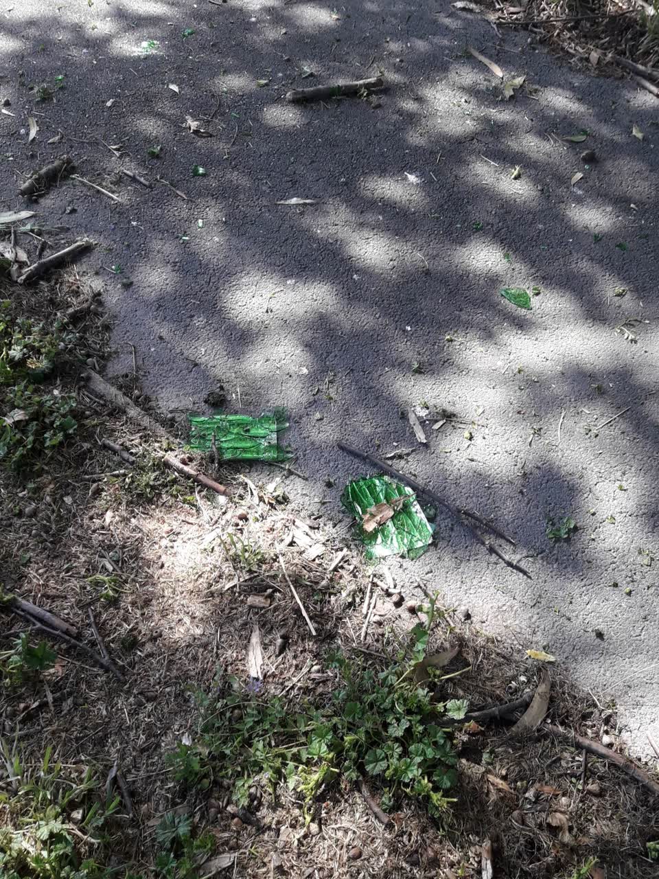The photograph attached to this parks report