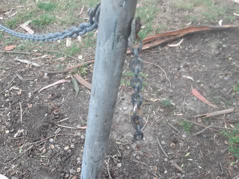 Parks — a report photo