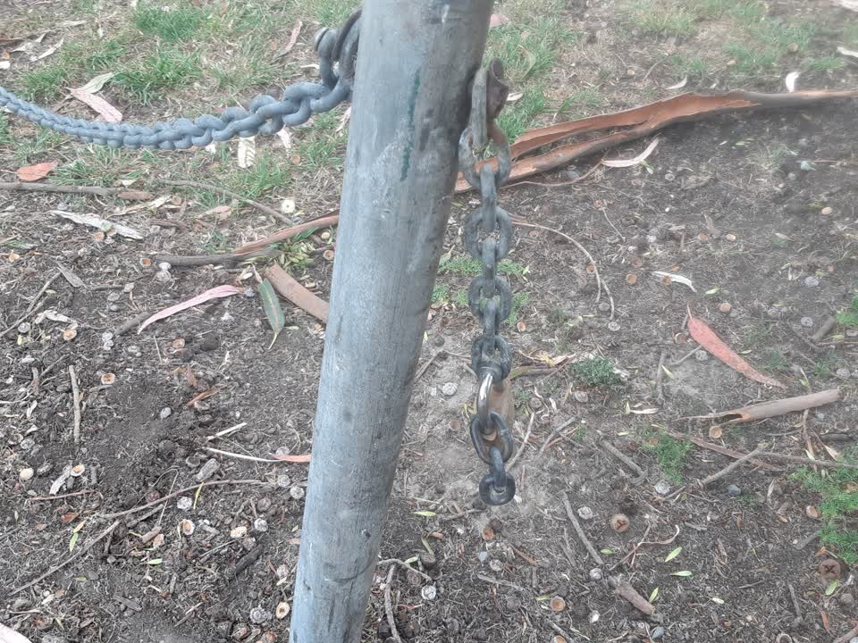 The photograph attached to this parks report