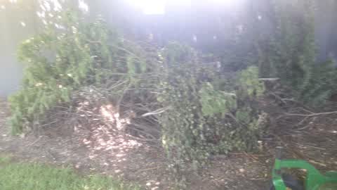 Parks, a report photo