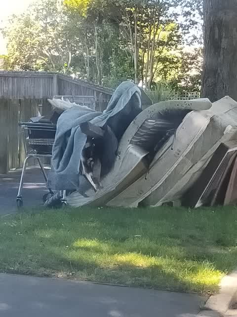 Rubbish/Recycling, a report photo