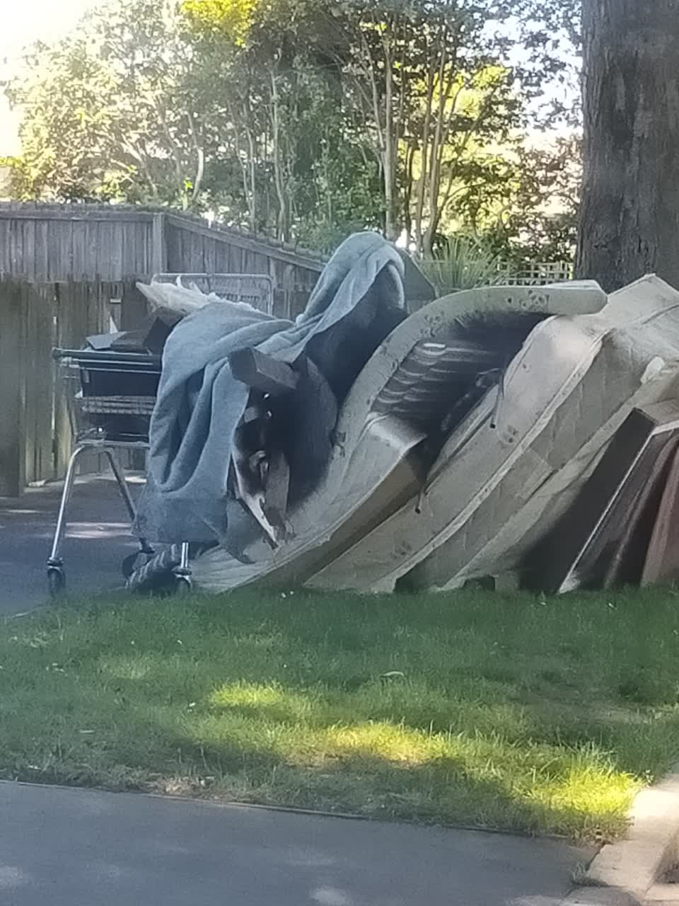 The photograph attached to this rubbish/recycling report