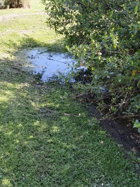 Parks, a report photo