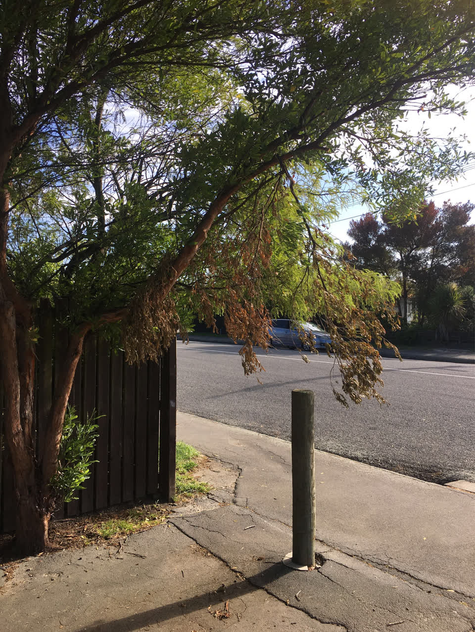 The photograph attached to this parks report