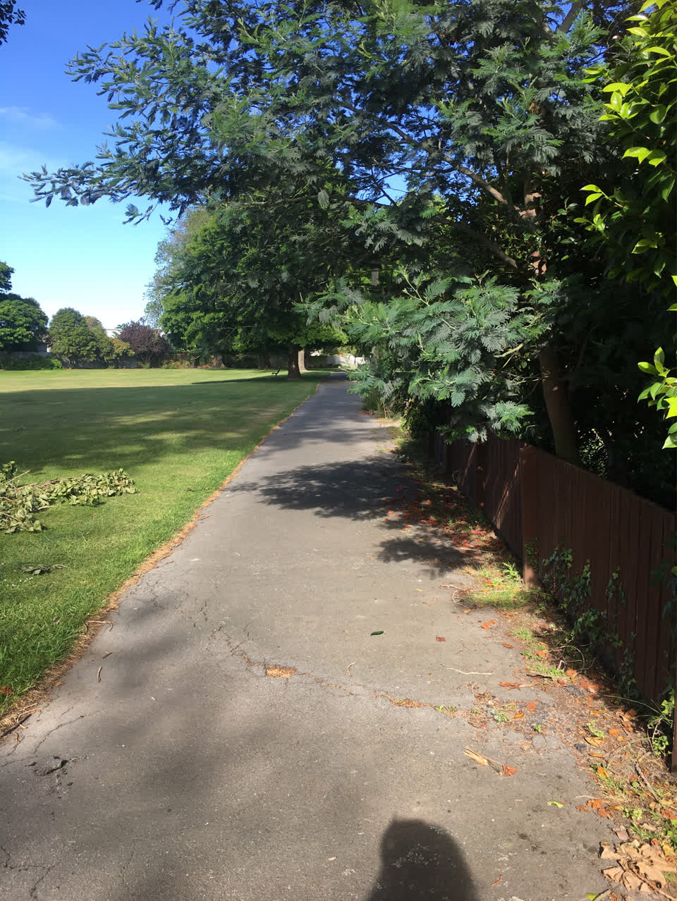 The photograph attached to this parks report