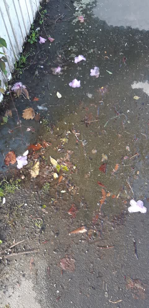 Water Leak, a report photo