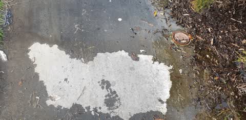 Water Leak, a report photo