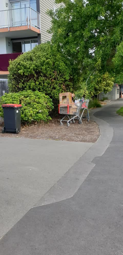 Rubbish/Recycling, a report photo