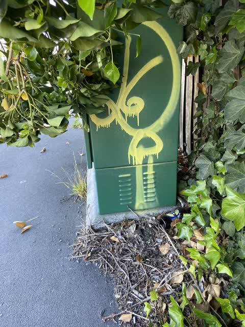 Graffiti, a report photo