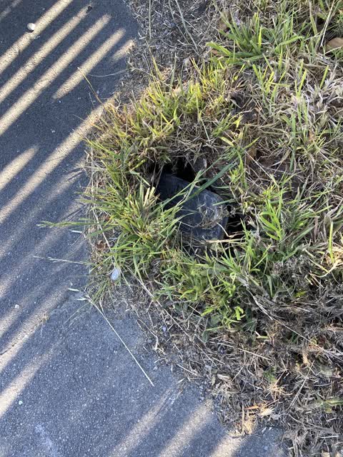 Roading/Streets, a report photo