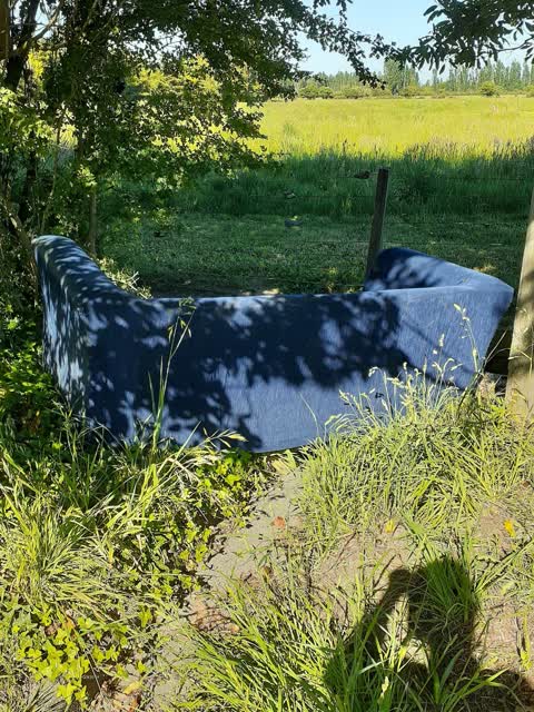 Rubbish/Recycling, a report photo