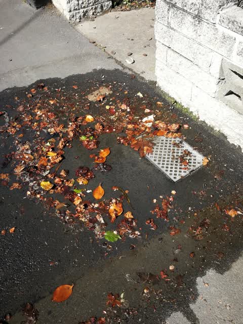 Water Leak, a report photo