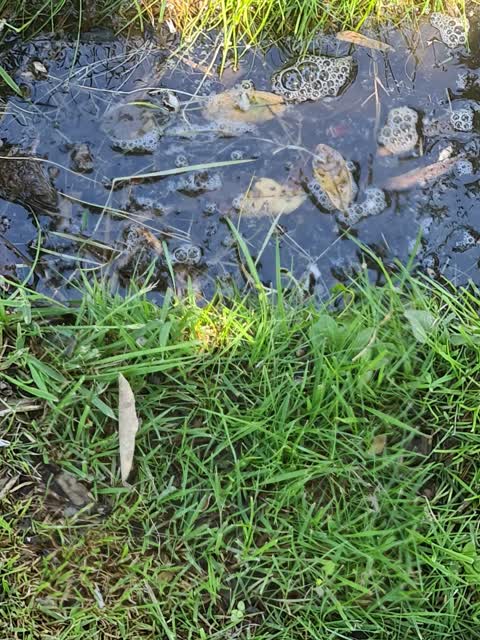 Water Leak, a report photo