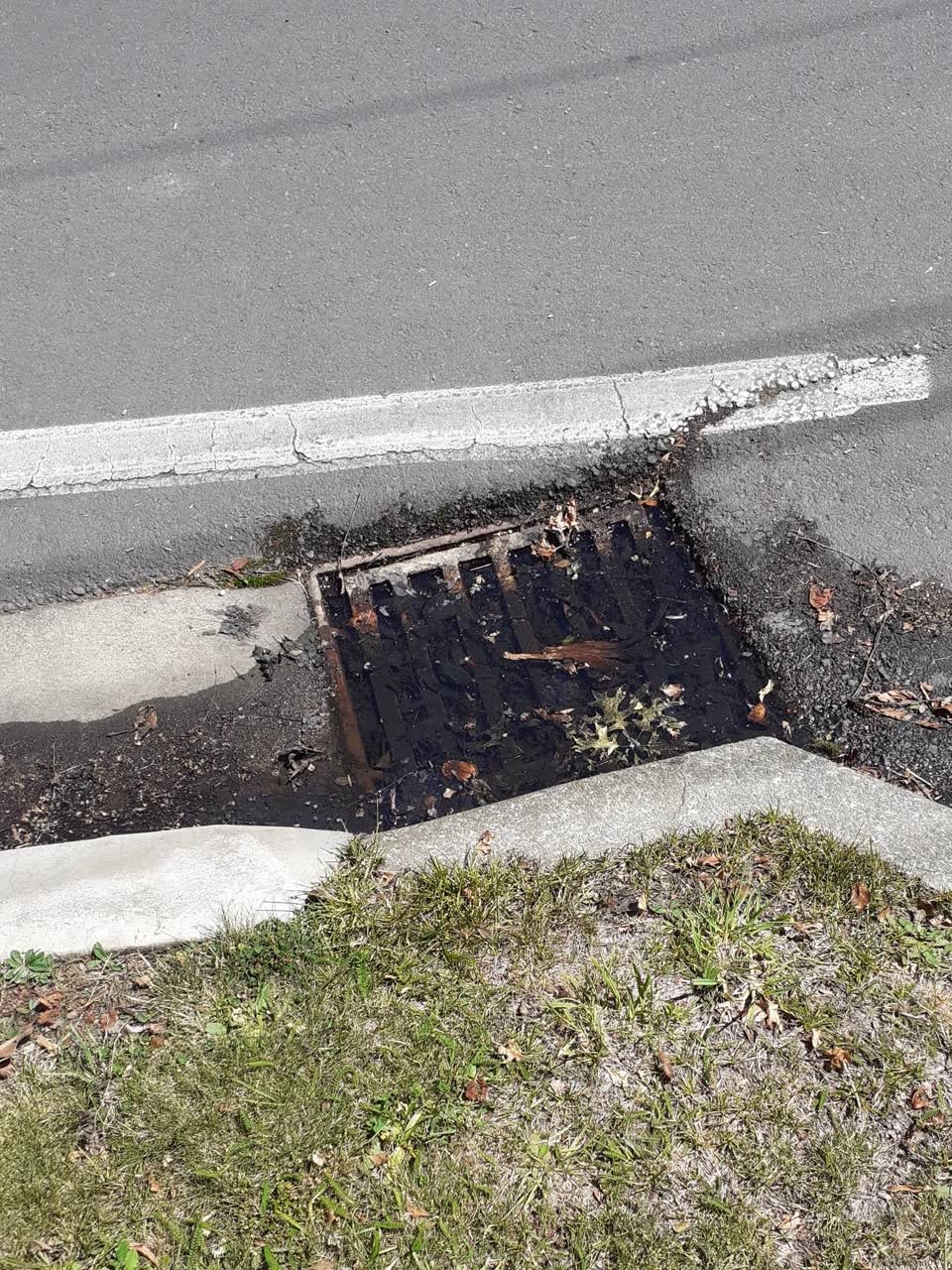 The photograph attached to this wastewater/stormwater report