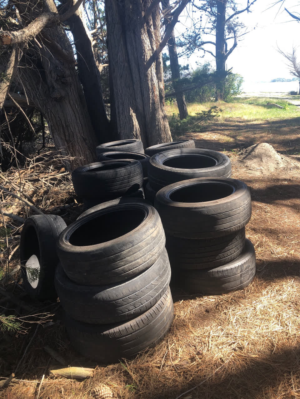 The photograph attached to this parks report