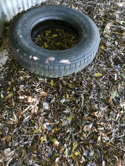 Parks, a report photo