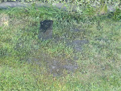 Water Leak, a report photo