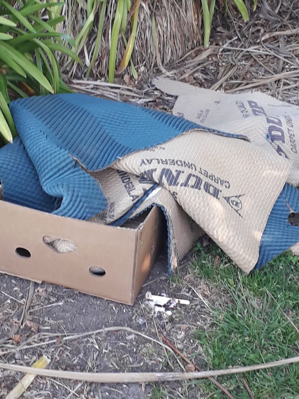 The photograph attached to this rubbish/recycling report