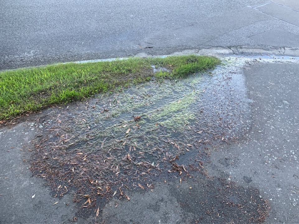 The photograph attached to this water leak report